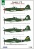 Fly 72038 Ilyushin Il-10 Chinese and Korea service 1:72